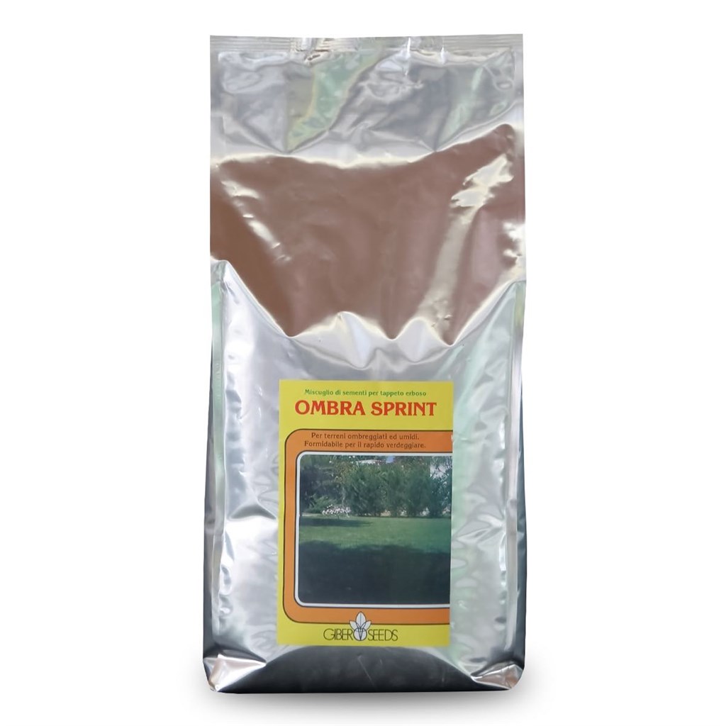 MISCUGLI SEME GIBER SEEDS OMBRA SPRINT - KG 5